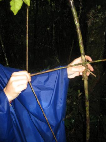 the handmade bow and arrow