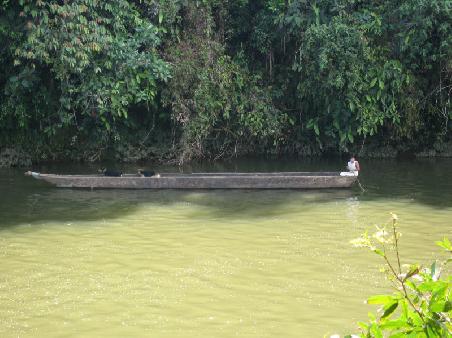 the canoe