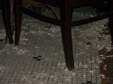 peanut shells on the floor (not all from us though!)