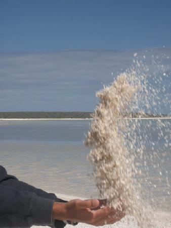 Me being attacked by a swarm of shells...