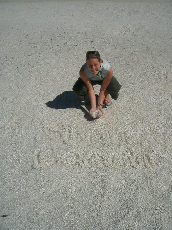 I think we have made it clear now that we went to shell beach!