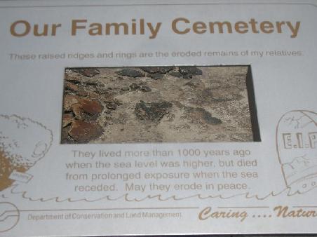 R.I.P LIttle Stromatolites