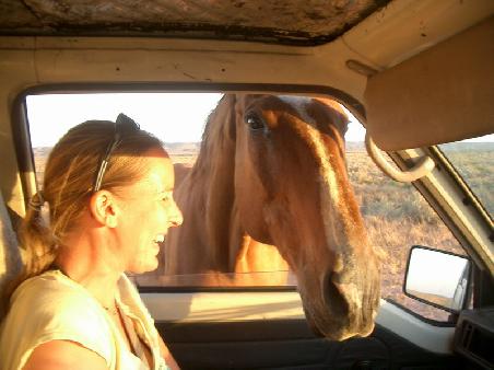 "HELLO HORSIE"....
comment: laughter BEFORE the horse squeezed the tomato all over my lap...
