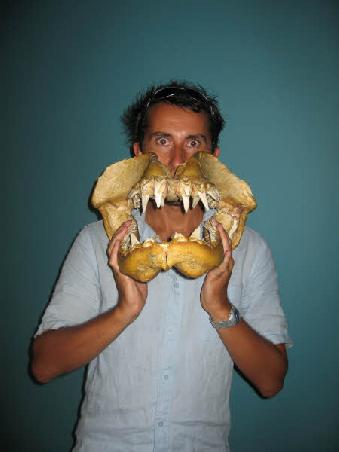 marc jaws