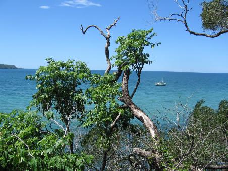 The View from Cape Tribulation