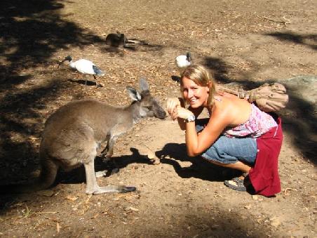 nora and grey kangaroo