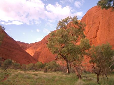 the olgas