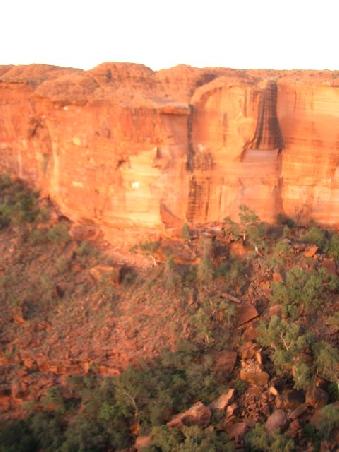 kings canyon again