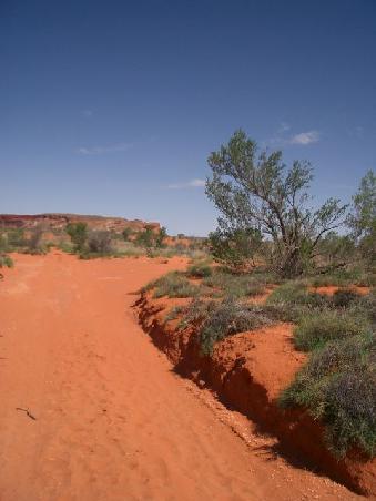 now you know why it is called the RED centre!