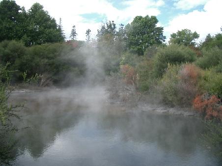 roturua park with hot springs