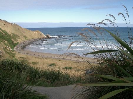 Bay at the Catlins