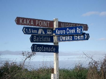 Kaka Point was our direction!