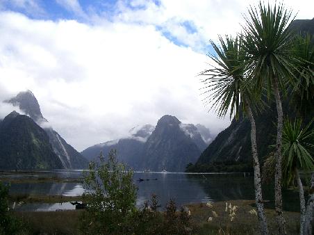 milford sound and morning mist