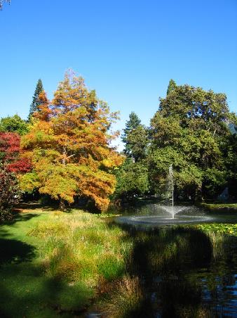 indian summer in queenstown