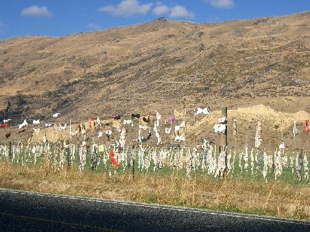 on the way to Franz Josef Glacier we saw this nice fence full of bras...