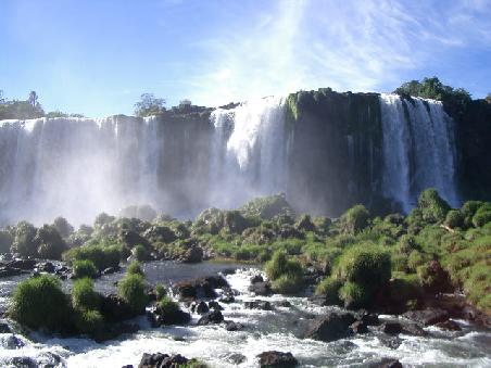 Waterfalls and Vegetation