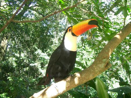 A real poser for the cameras