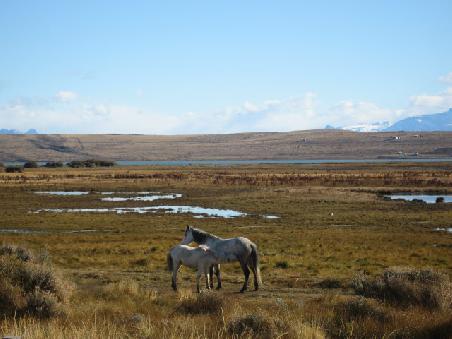 The Bleakness of Patagonia