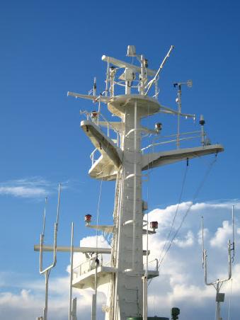 Yes I am a geek....they are antennas!