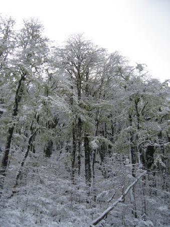 Haven´t seen snow for so long