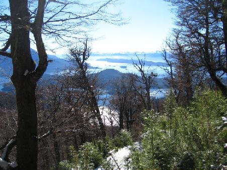 a view through the forest