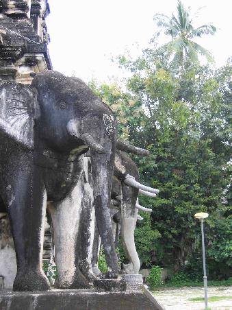 Elephants at Wat Chiang Man.