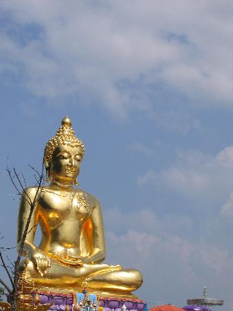 Buddha in the sky (# 647)
