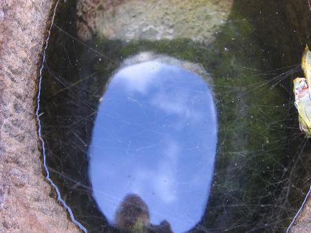 inside a jar.