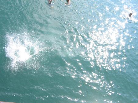that's MY splash.