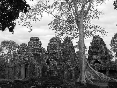 Ta Prohm?