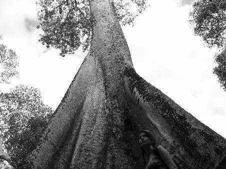 Me, and a REALLY big TREE!!!
