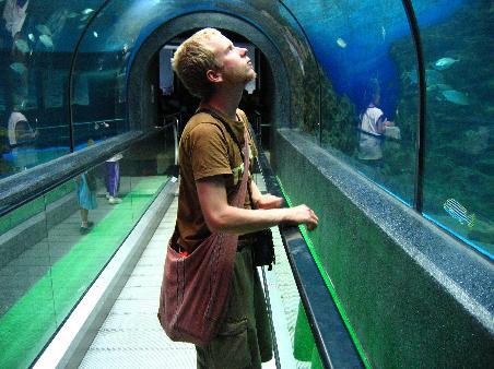 The small tunnel tank. Still pretty neat. They had some small leopard sharks.