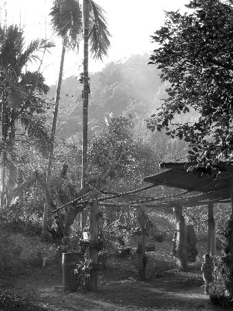 Khao Sok.