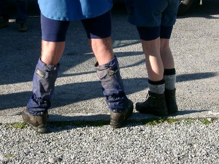 The gator phenomen..